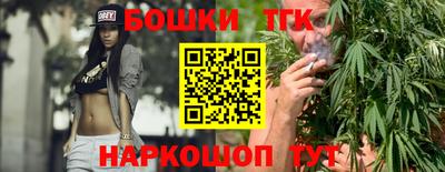 индика Заводоуковск