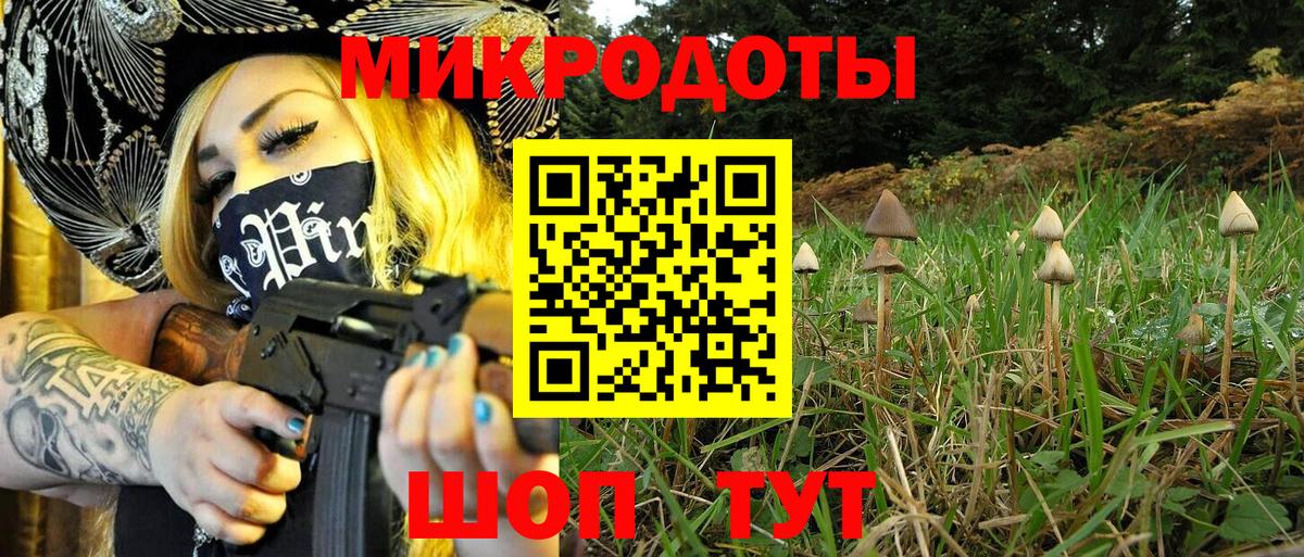 Галлюциногенные грибы Cubensis Сосновый Бор